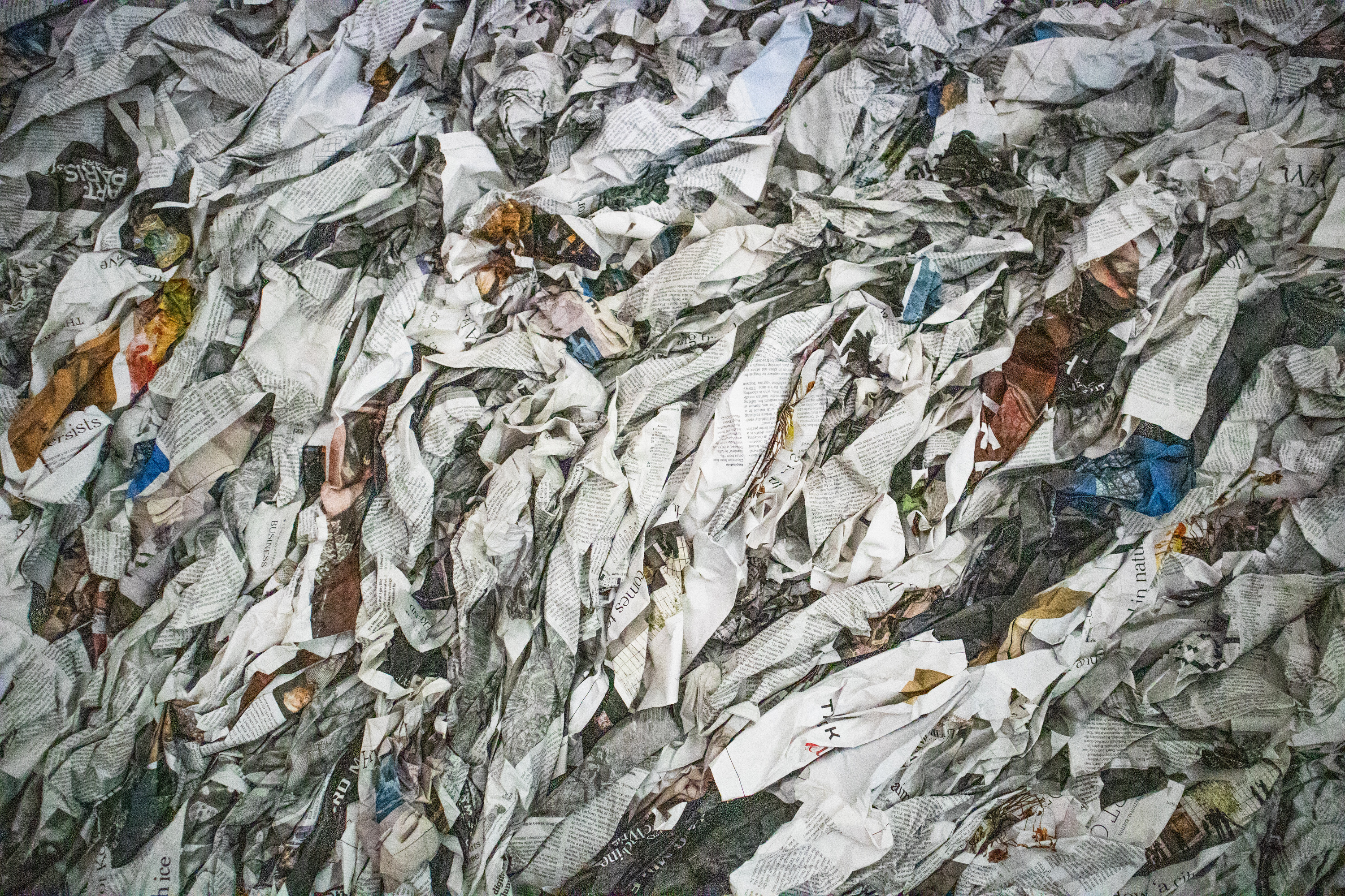 Reisdetail met helder daglicht